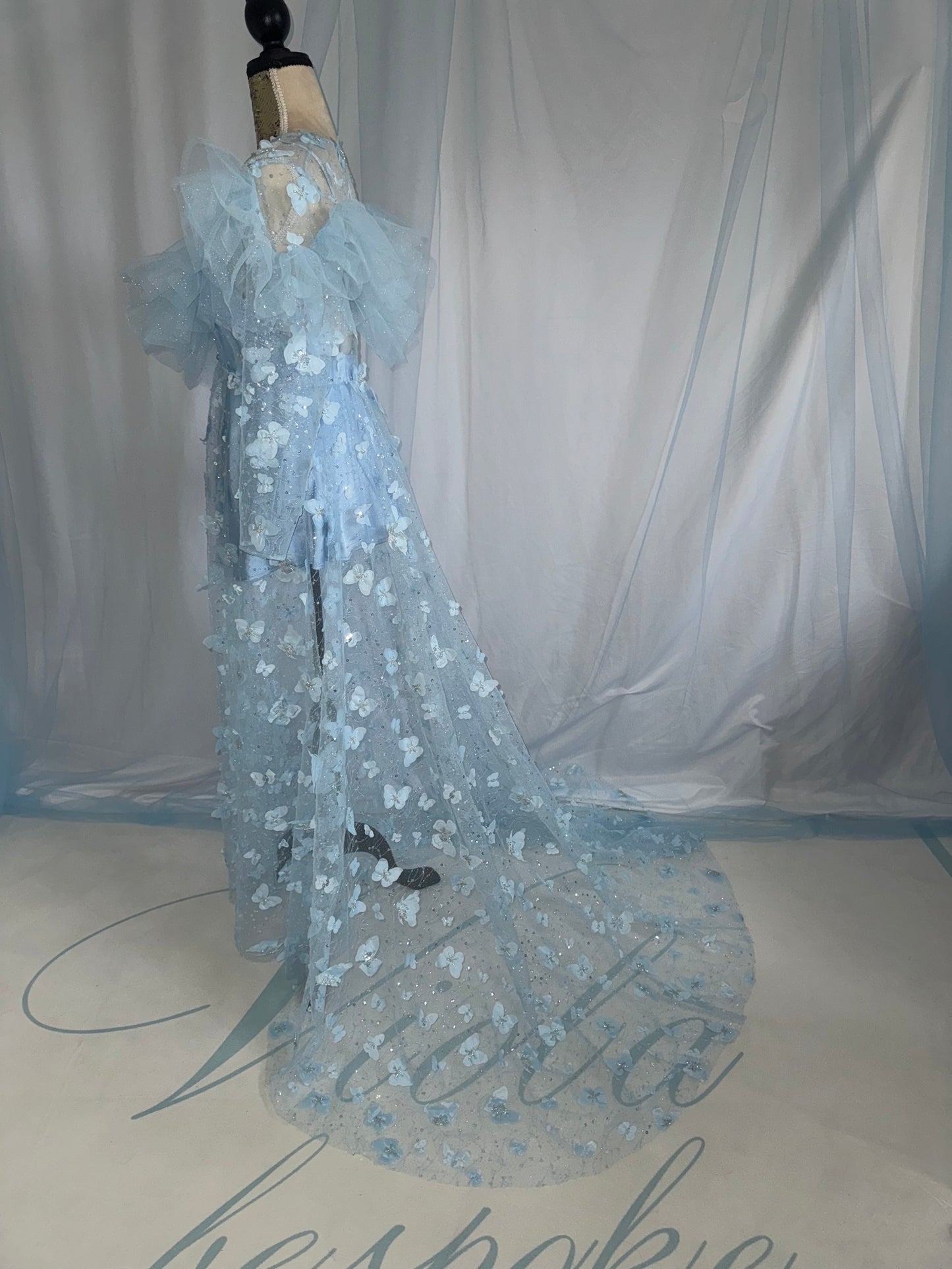 Baby Blue Butterfly Gown