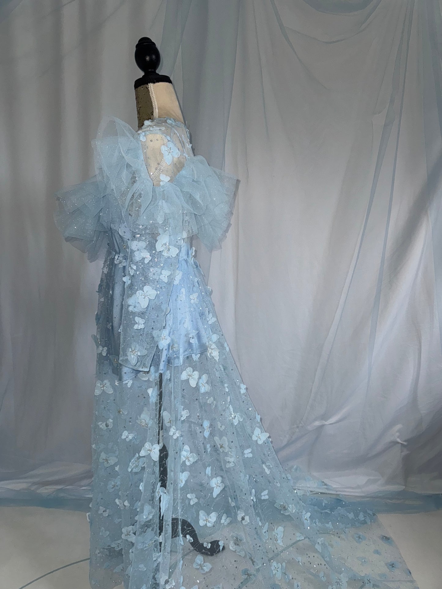 Baby Blue Butterfly Gown