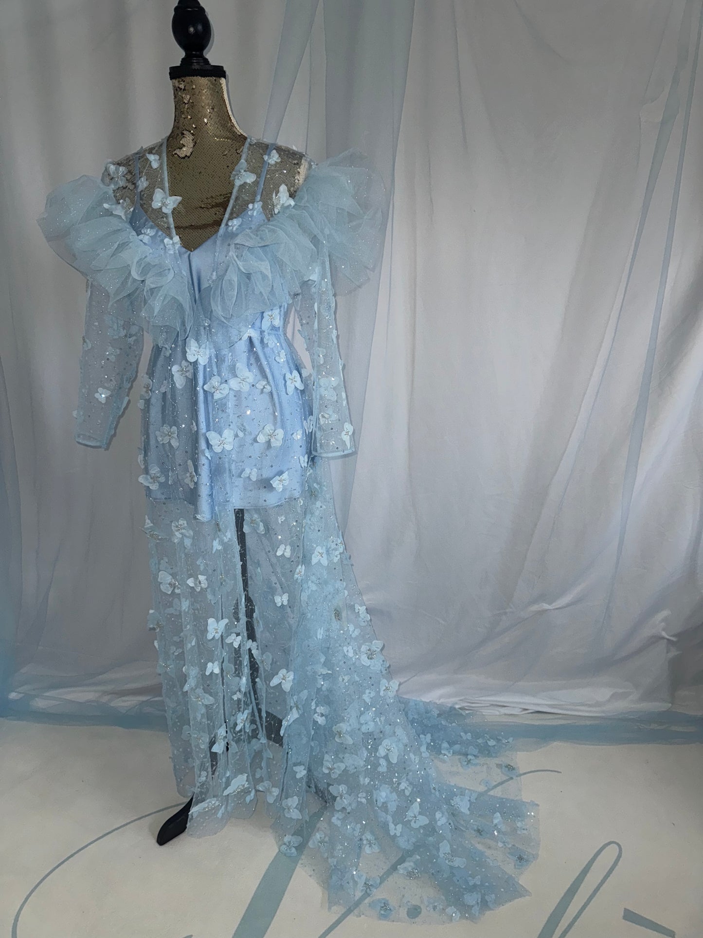 Baby Blue Butterfly Gown