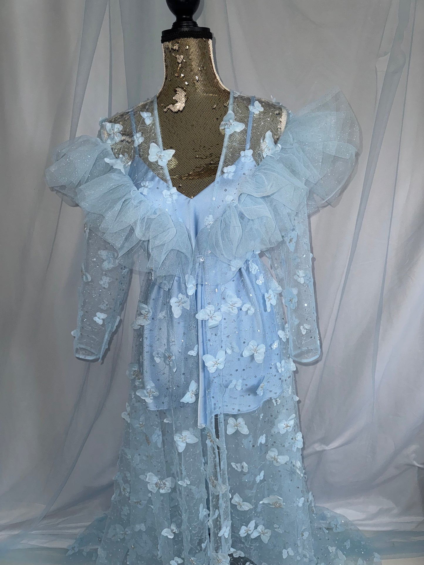 Baby Blue Butterfly Gown