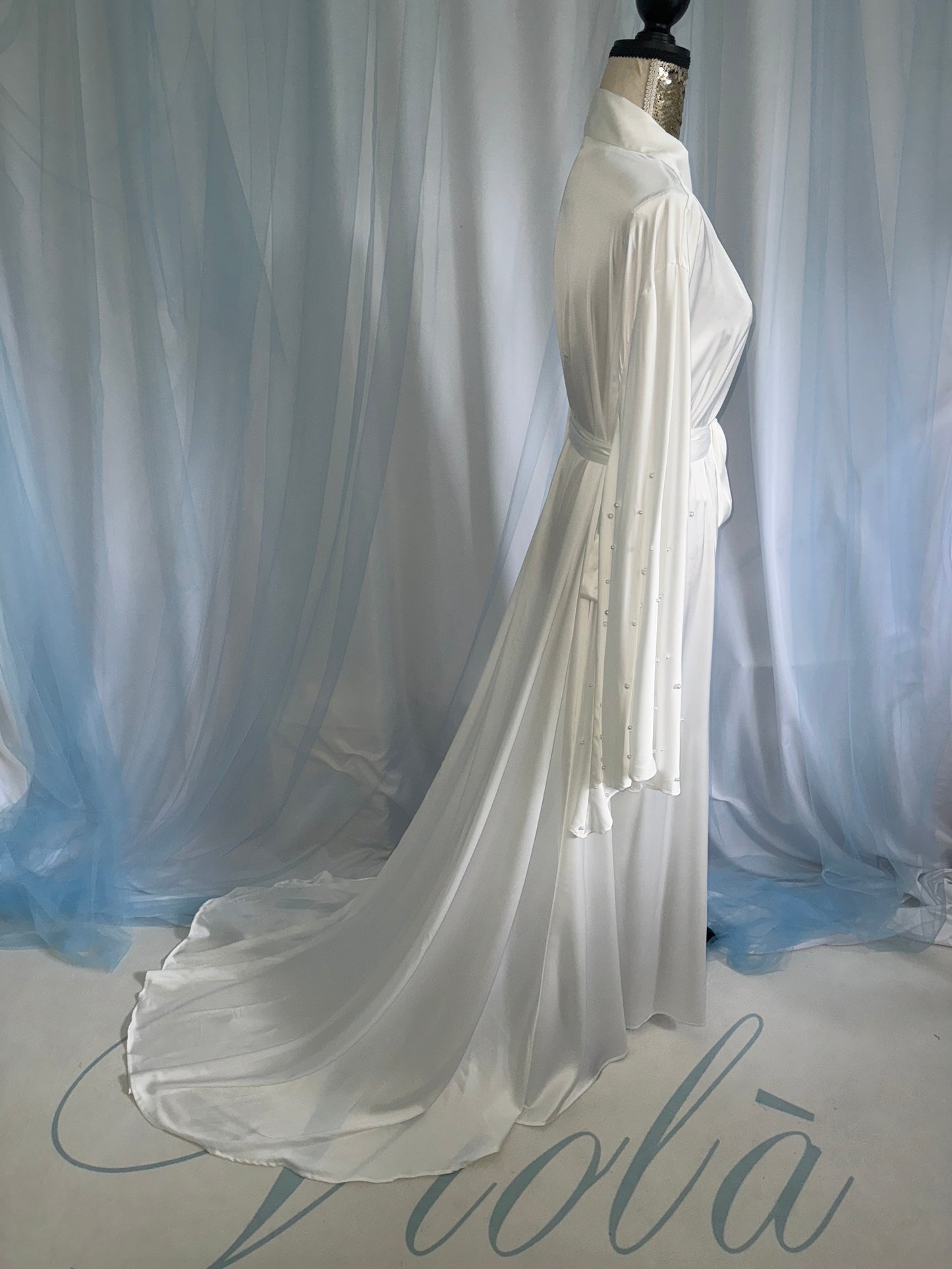 Silk Gown With A Wide Pearl Drop Sleeve