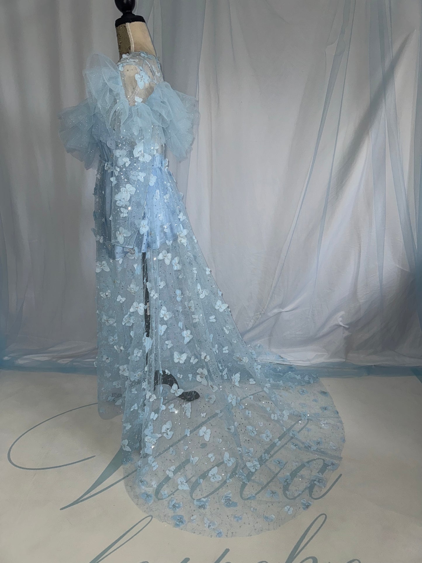 Baby Blue Butterfly Gown