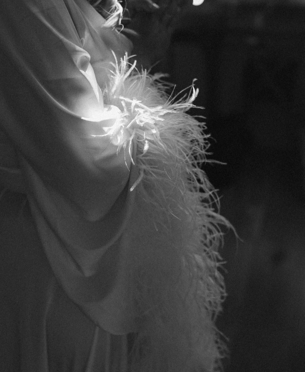 Ostrich Feather Silk Gown
