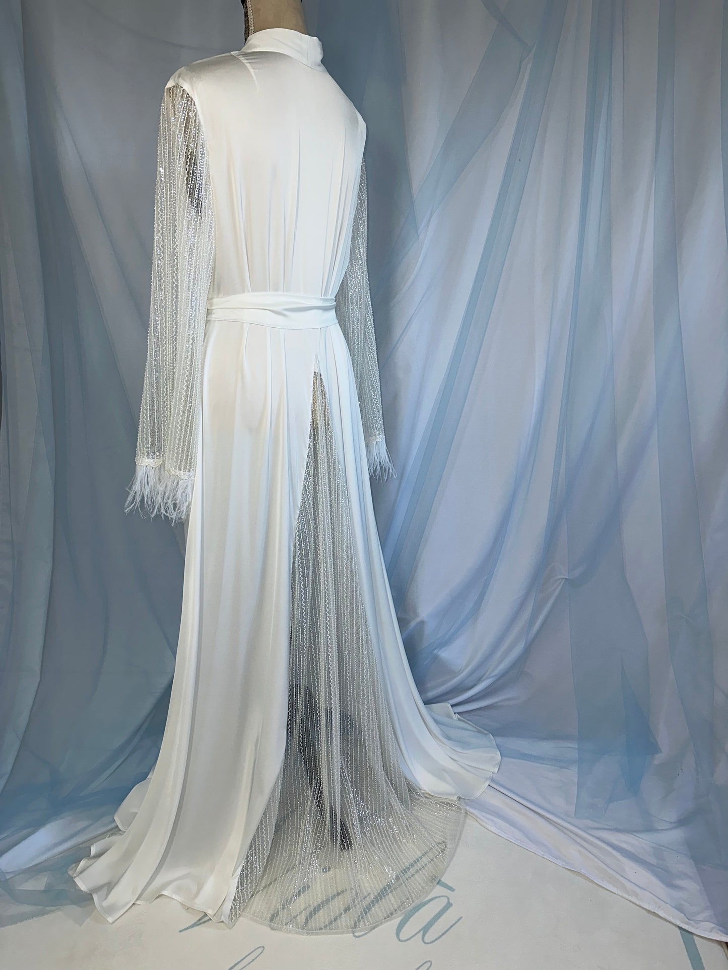 Silk Gown With Sparkle Sleeves & Feather