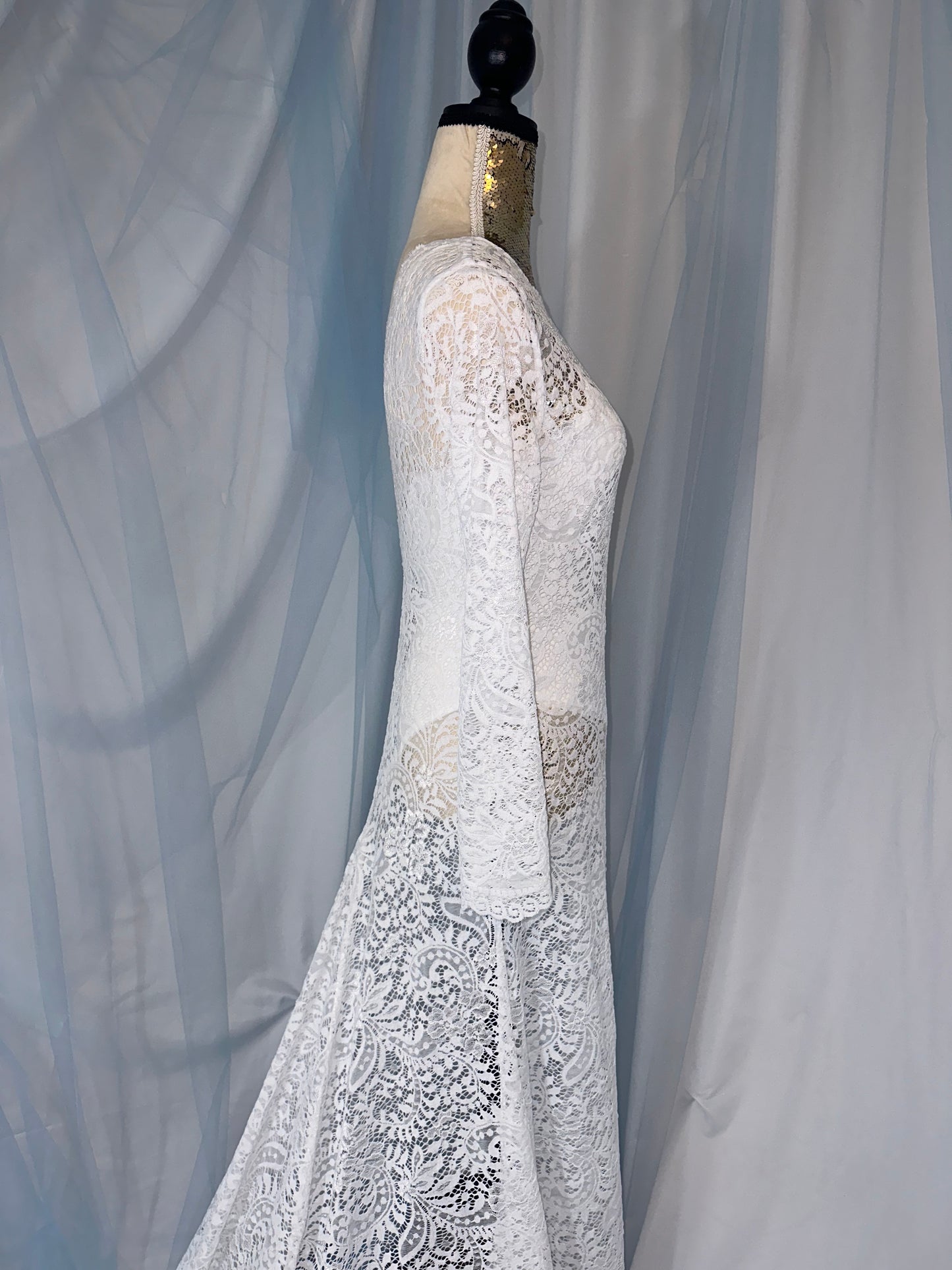 Lace Dress Gown