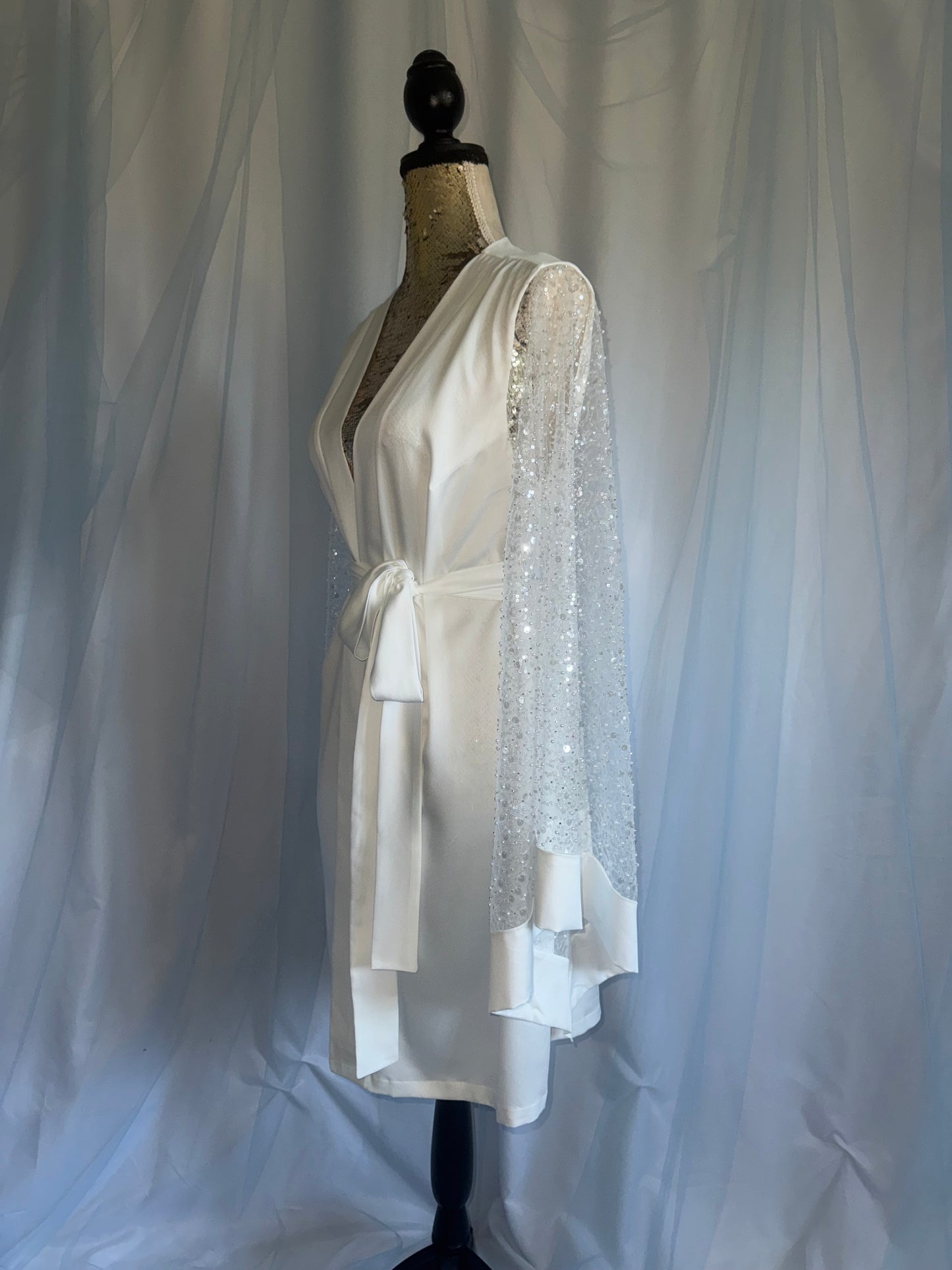 Sparkle sleeve gown